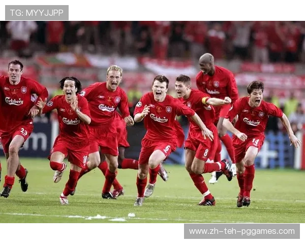 德甲与西甲没落球队对比及联赛竞争力分析