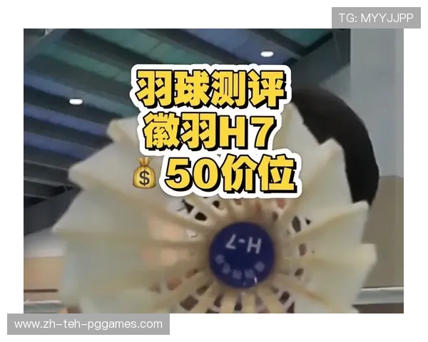 羽毛球推荐 评测 羽毛球推荐 评测